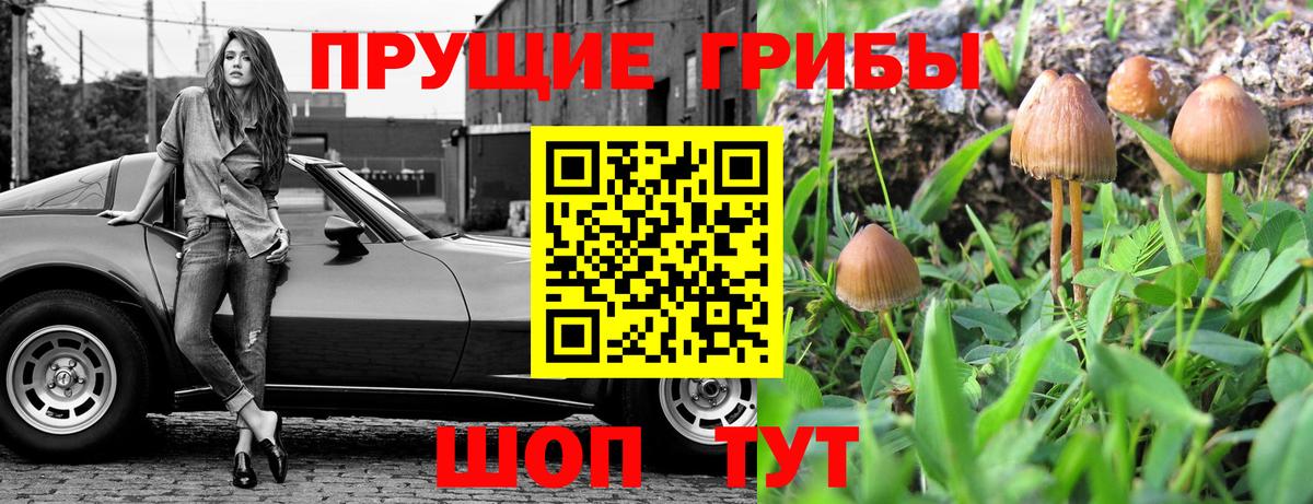 Сургут  где купить наркоту  Вход с VPN  Псилоцибиновые грибы GOLDEN TEACHER 